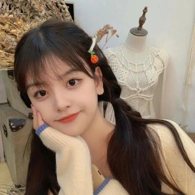 罗贝托·苏科